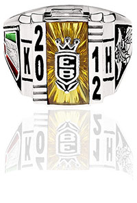 P207 Elite (His) with top crest old