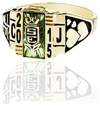 P208 Elite (Hers) with top crest