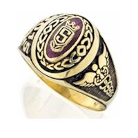 P306 (Hers) with top crest old